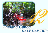 Thalane Canoe Half Day Tour