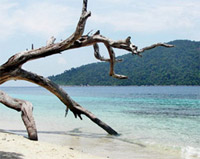 Lipe Island Day Trip