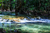 Krabi Nature 3 Things you must do