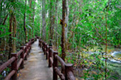 Krabi Nature 3 Things you must do