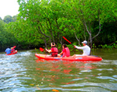 Canoe + 4 Islands Private Trip