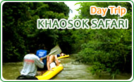 Khaosok Safari Day Trip