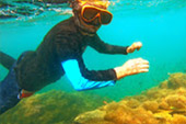 The new Selection of snorkeling Thai Bay