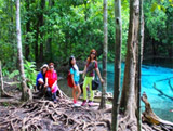 Tour Krabi for Guest from Cruise Ships