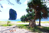Tour Krabi for Guest from Cruise Ships