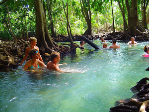 Krabi Nature 3 Things you must do