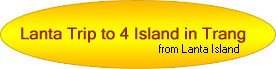 Special Promotion