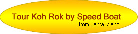 Special Promotion
