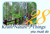 Krabi Nature 3 Things you must do