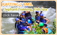 Rafting 7 KM Elephant Trekking and Flying Fox