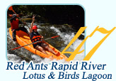 Red And Rapid River and Lotus Bird Lagoon