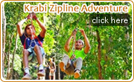 Krabi Zipline Adventure