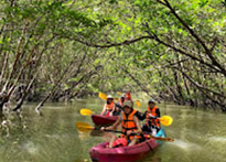 Krabi: Nature exploring