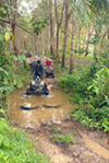 Krabi: Nature exploring