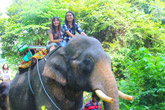 Elephant Trekking