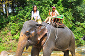 Private Unlimited Discovery by JC Tour Krabi